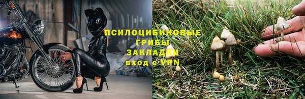 дмт Абинск