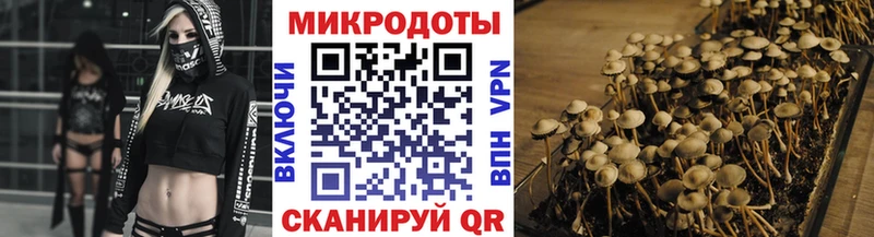 что такое   Кедровый  Галлюциногенные грибы прущие грибы 